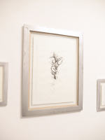 Design ohne Titel - 1