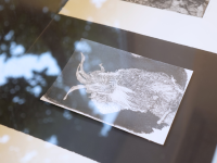 Design ohne Titel - 1