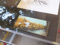 Design ohne Titel - 1