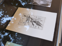 Design ohne Titel - 1