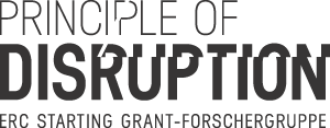 principle-of-disruption